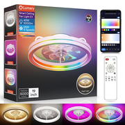 Lumary Smart LED  Fan with Night Light