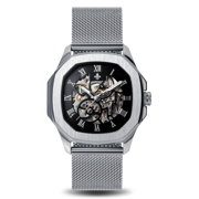 The Avalon Silver + Silver Mesh Strap