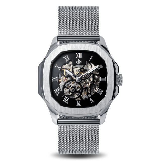 The Avalon Silver + Silver Mesh Strap