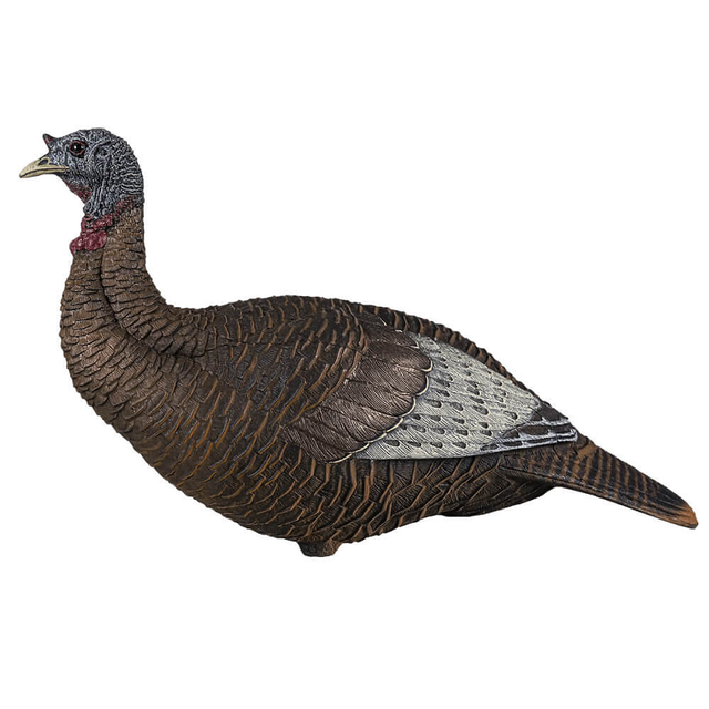 FLEXTONE UPRIGHT THUNDER CHICK TURKEY DECOY