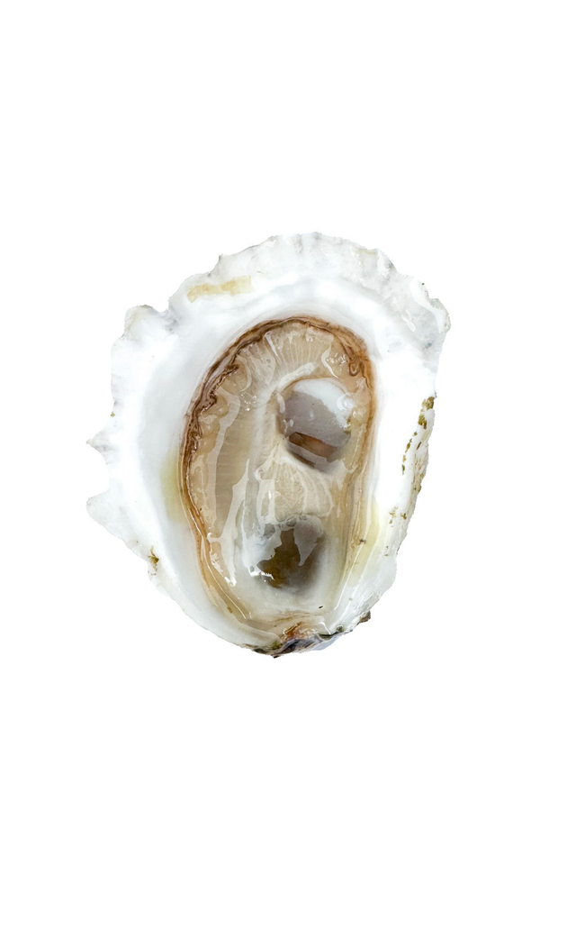 Jimmy Fund Golds for Dana-Farber