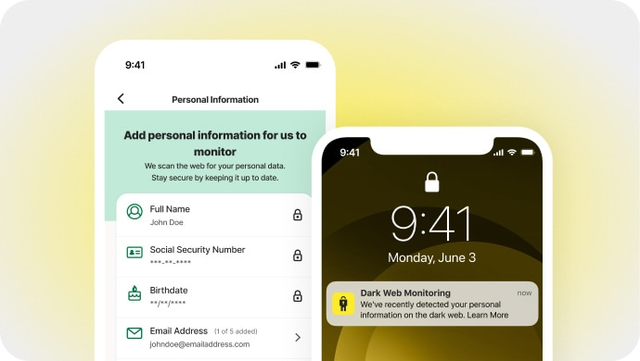 LifeLock Standard Identity Theft Protection