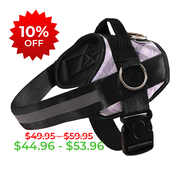 Lavender Plaid Joyride Basic Essential Dog Harness 1.0