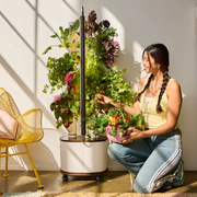 Gardyn Studio | Smart Indoor Hydroponic Garden