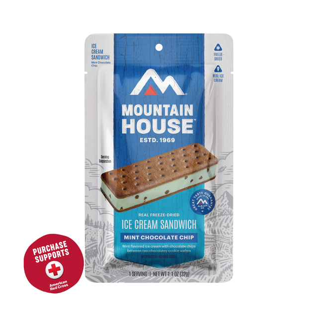 Mint Chocolate Chip Ice Cream Sandwich