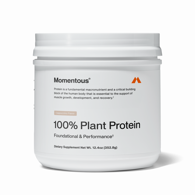 100% Plant Protein Powder - Limited Edition Flavor
