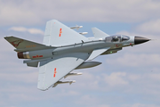 Freewing PLAAF J-10A High Performance 90mm EDF Jet - PNP