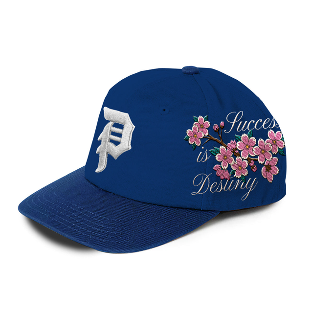 DESTINY A-FRAME SNAPBACK