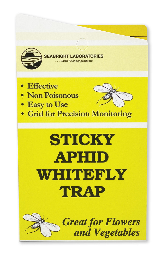 Seabright Aphid & Whitefly Sticky Trap