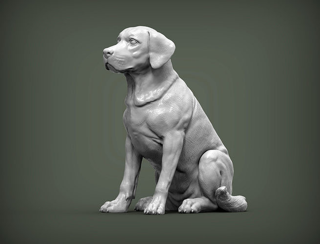Labrador | 3D Print Model