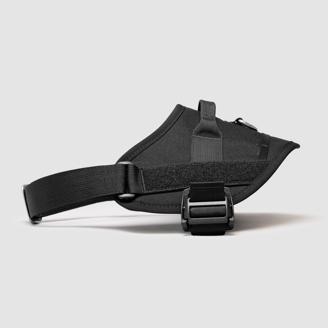 Lifetime Pro Harness