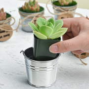 Classic Delicate Metal Bucket Succulent Favors (Tag Custom Supported)