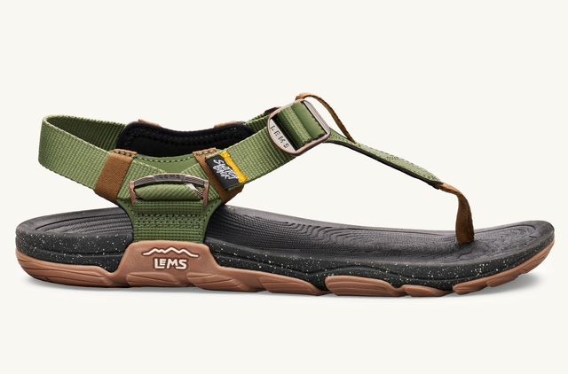 Men's Switchback Sandal
