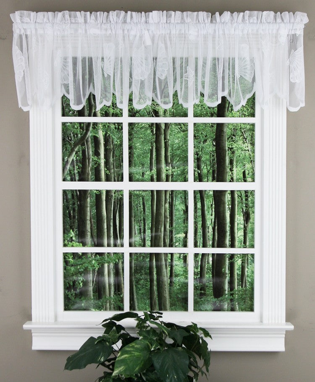 Seashells Lace Tailored Valance