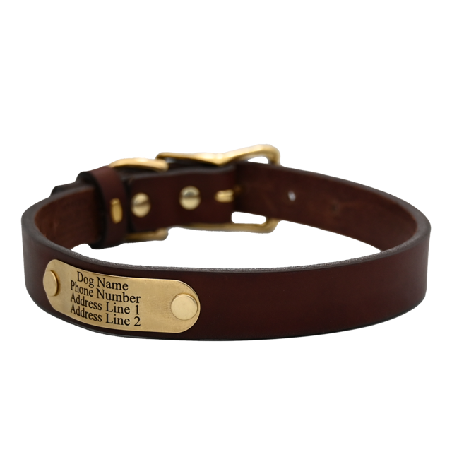 Personalized Standard Dog Collar