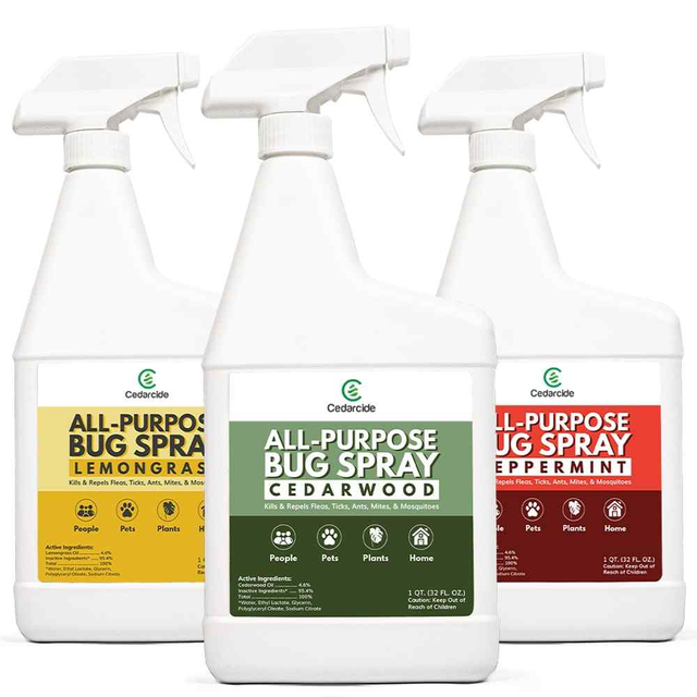 All-Purpose Bug Spray