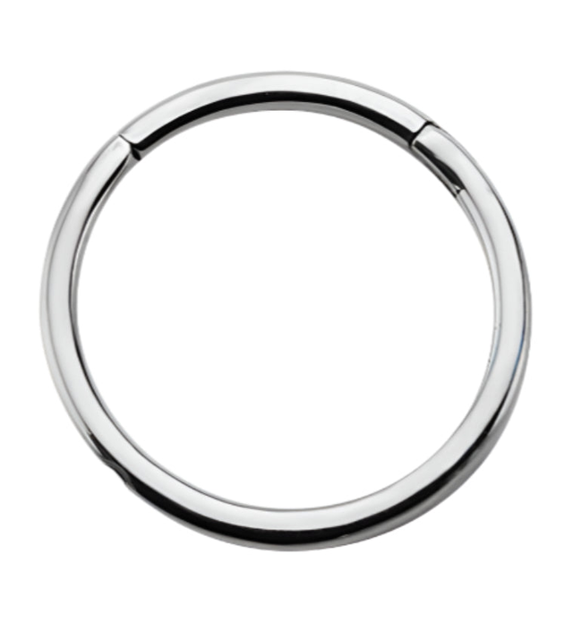 Hinged Stainless Steel Segment Hoop Ring