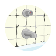 Mold and Fungus Water Test