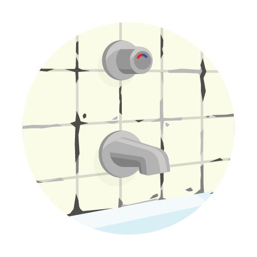 Mold and Fungus Water Test