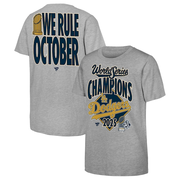 Youth Los Angeles Dodgers  Fanatics Heather Gray 2025 World Series Champions Locker Room Authentic T-Shirt