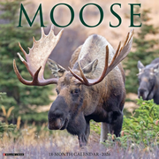 Just Moose 2026 Wall Calendar