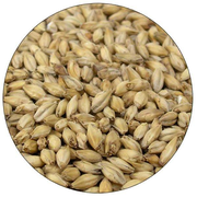 Aromatic Malt - Briess