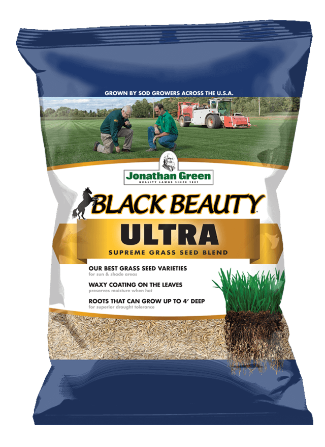Black Beauty® Ultra Grass Seed