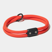 Lifetime Collar - Sale