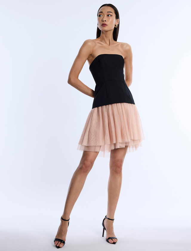 Strapless Tutu Dress