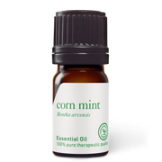 Corn Mint (Wild Mint) Oil