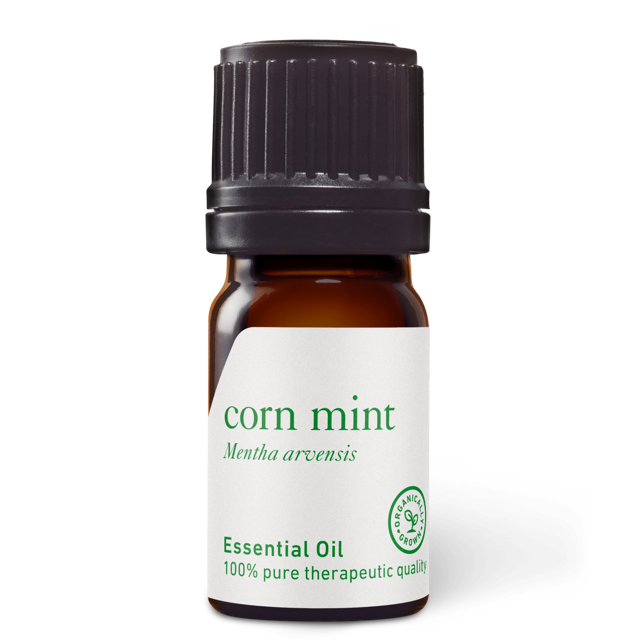 Corn Mint (Wild Mint) Oil