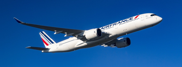 Flight from Los Angeles to Madagascar with Air France