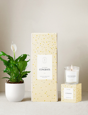 Congrats Plant Gift Set