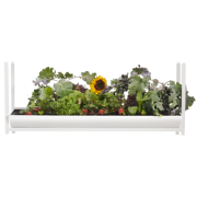 The Rise Extension 3