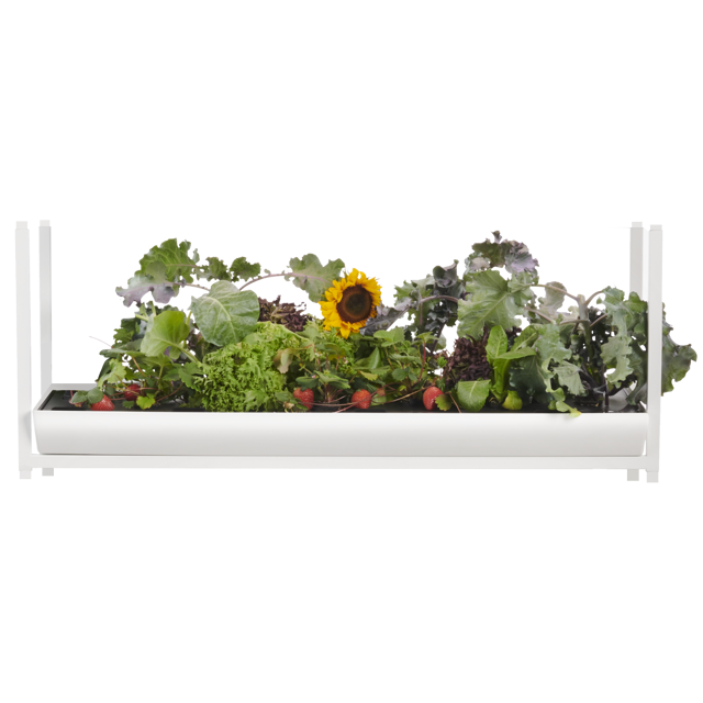 The Rise Extension 3