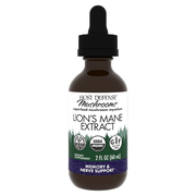 Lion's Mane Extract