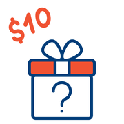 $10 Mystery Box of Goodness