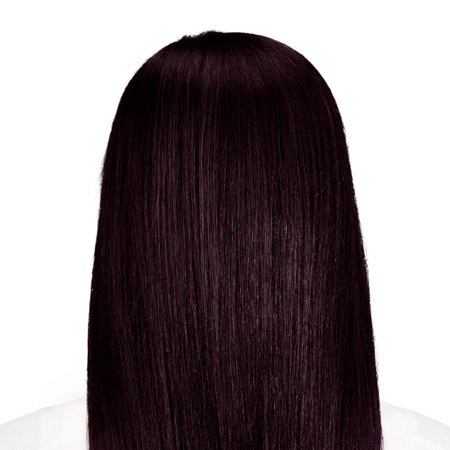 Palermo Black - Rich black hair color with hints of aubergine.