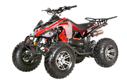 Coolster 3200S, Sports Style, Adult ATV, Alloy Rims, Automatic with reverse, Wider front end, Front and rear  brakes, Electric Start