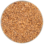 German Pale Wheat Malt - Weyermann®