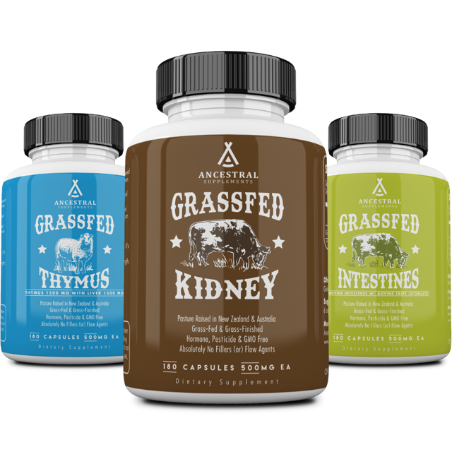 Histamine & DAO Support