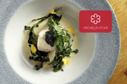 Michelin Star Dining Experience in Los Angeles