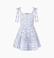 The Ribbon Charlotte Nap Dress - Blue Vine Stripe