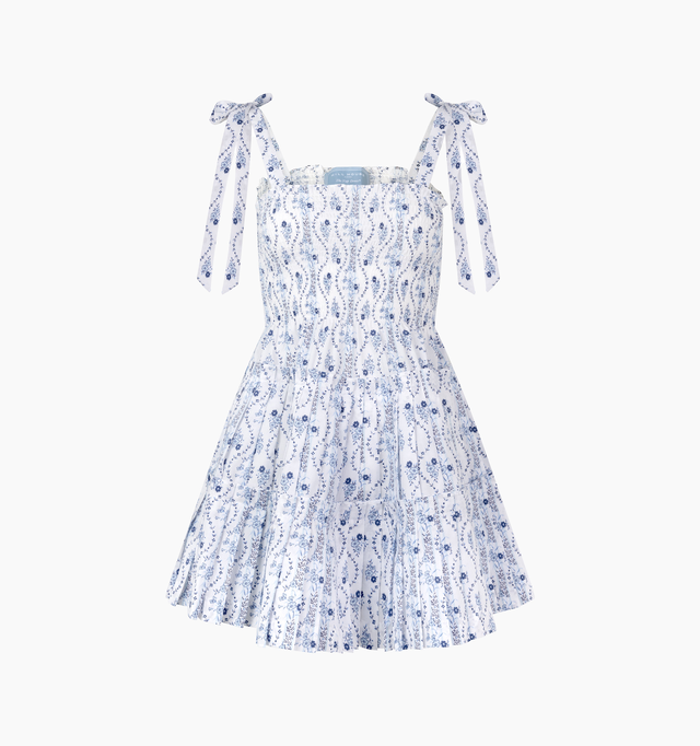 The Ribbon Charlotte Nap Dress - Blue Vine Stripe
