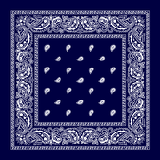 Classic Paisley Bandana Imported, 22X22, 1 Piece, Navy Blue 