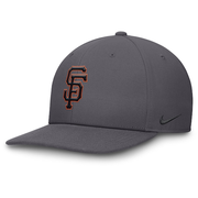 Men's San Francisco Giants Nike Gray Pro Performance Snapback Hat
