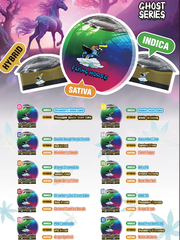 Ultra FH | Grease Monkey | Roze Sherbet Flying Horse 3 in 1 Disposable 10500MG