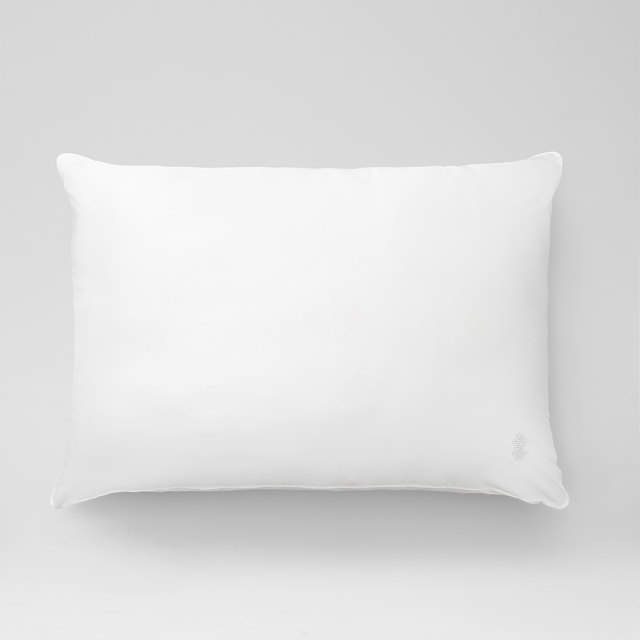 The Silk Pillowcase