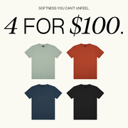 2025 Mystery Boundless Shirt (4 for $100)