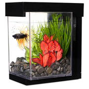 Betta Style EZ Care Aquarium